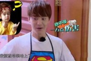 娱乐吃瓜酱侵权吗,版权问题引发行业关注