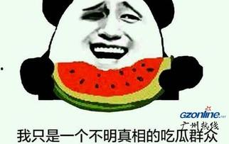 吃瓜网友是什么意思,网络时代的旁观者与评论家